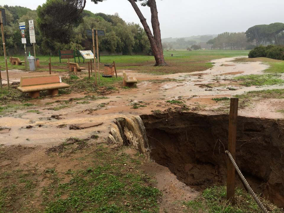 I fossi e lo stagno di Baratti (Piombino - LI)